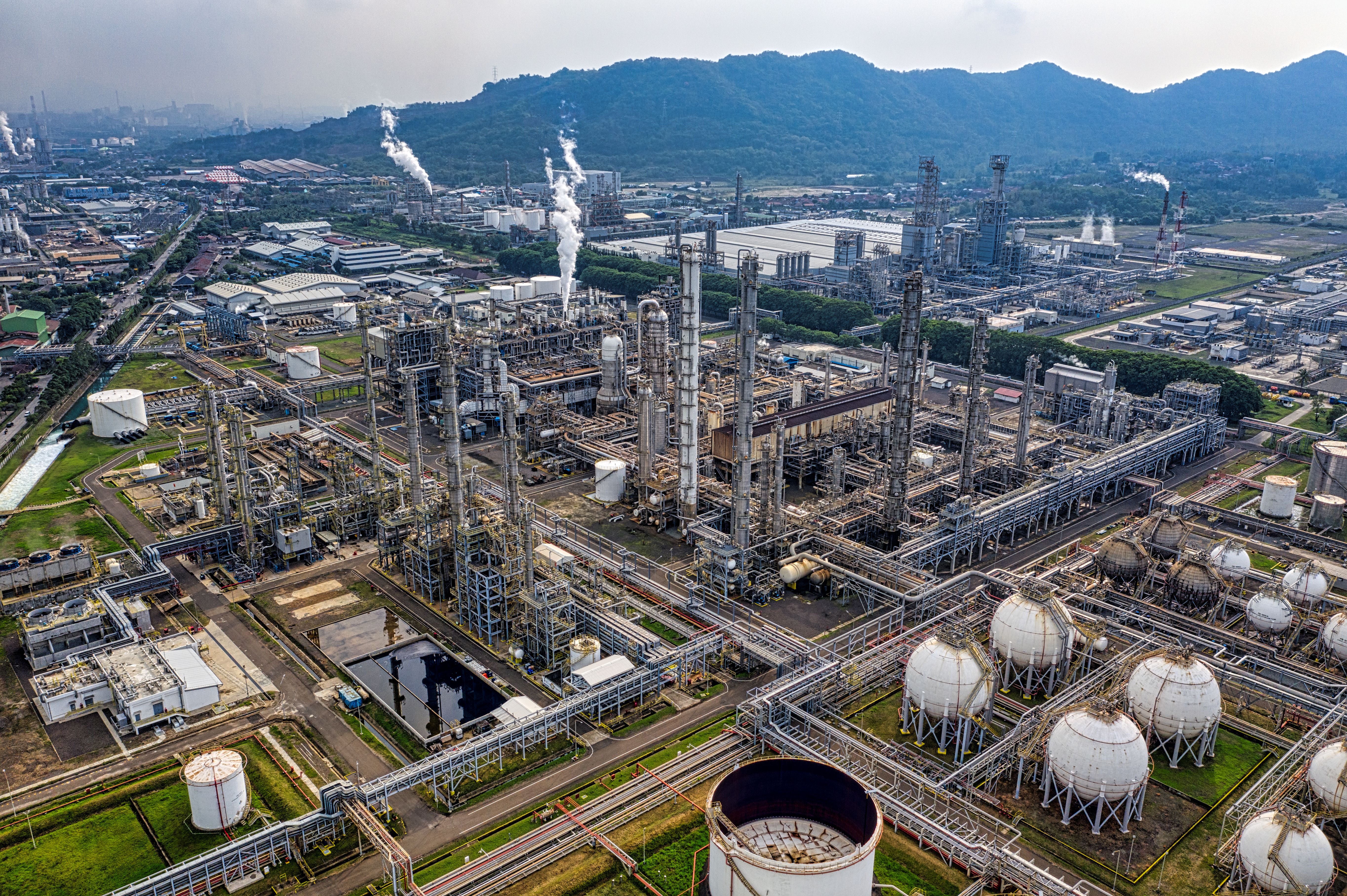 Petrolchemical plant